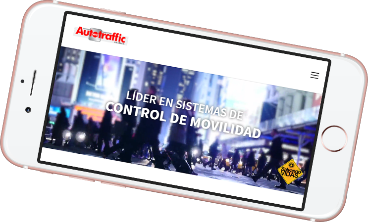 Consultor Web de Autotraffic
