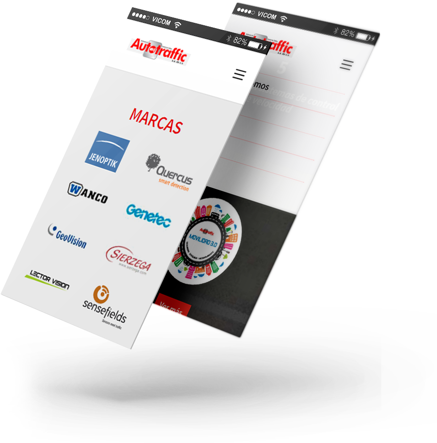 Consultor Web de Autotraffic