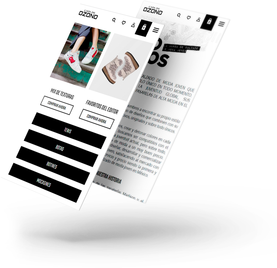 Consultor Web de Capa de Ozono