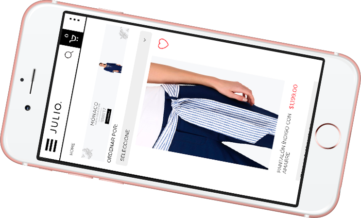 Consultor Web de Julio