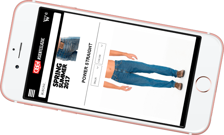 Consultor Web de OGGI