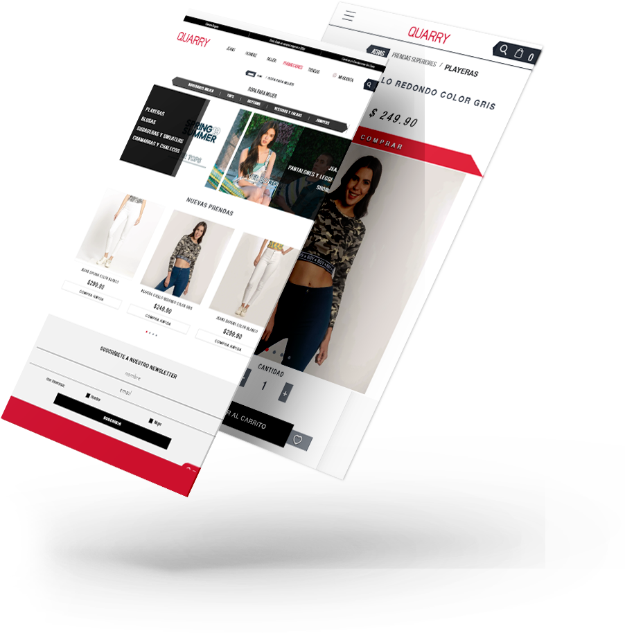 Consultor Web de Quarry