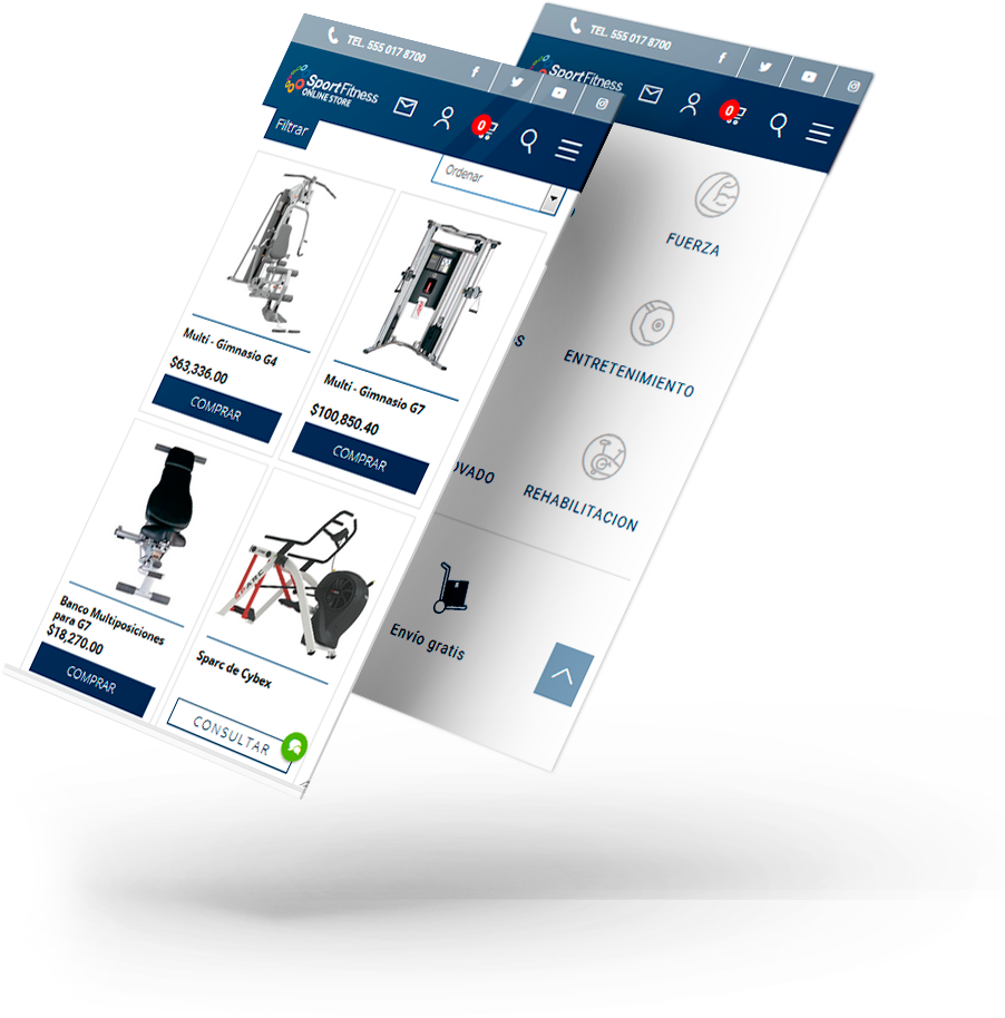 Consultor Web de sportfitness