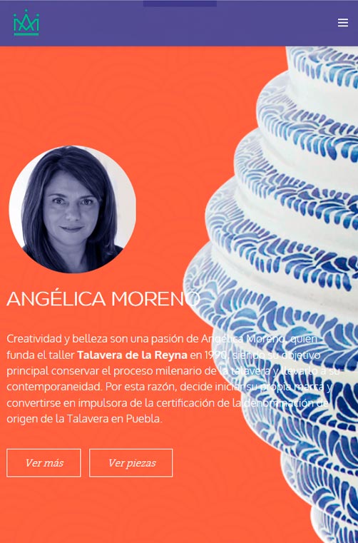 Consultor Web de Talavera de la Reyna